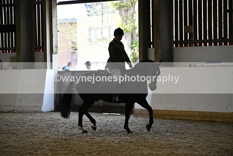 WJ5_6085 - Class 9 Ridden Veteran