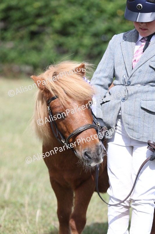 20250831-1720 - Previous show - Lambourn 2025