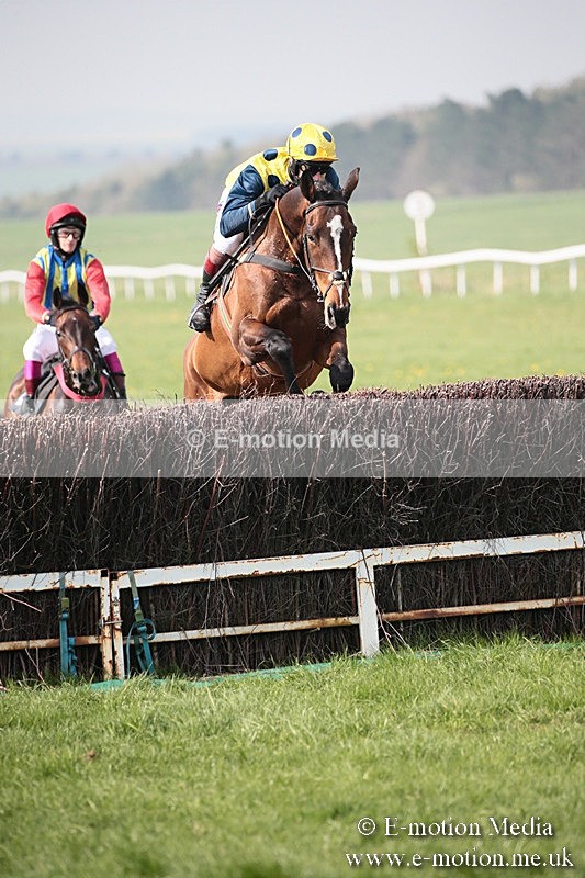 PtP 210418 413 - South & West Wilts Point-to-Point Larkhill 21/04/18