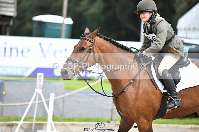 230827-115928-24287 - SJ 11.30 to End