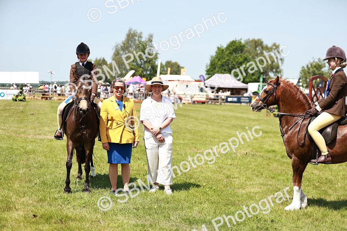 SBM_15826 - Class 108-109 - BSPS LIHS Open Gradle & Nursery Stakes