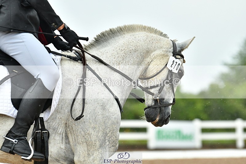 230708A-124036-02832 - Prelim 13