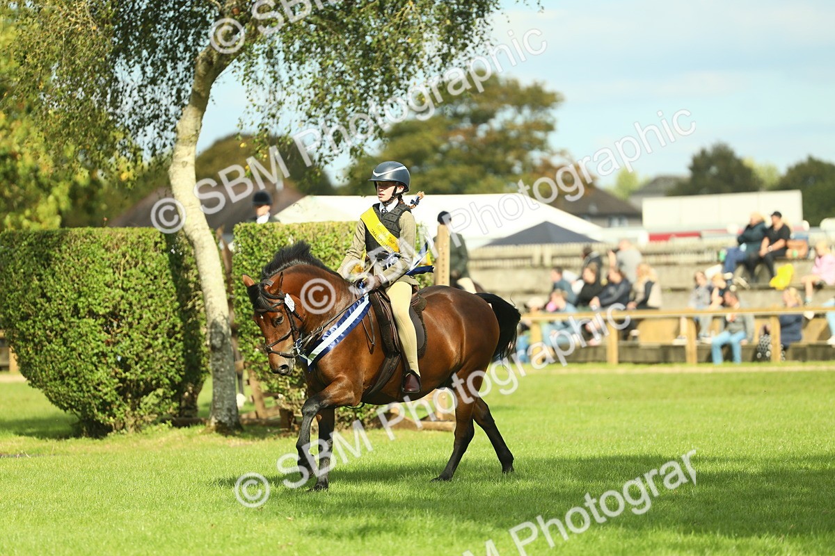 SBM_45031 - Working Hunter Pony Supreme Championship