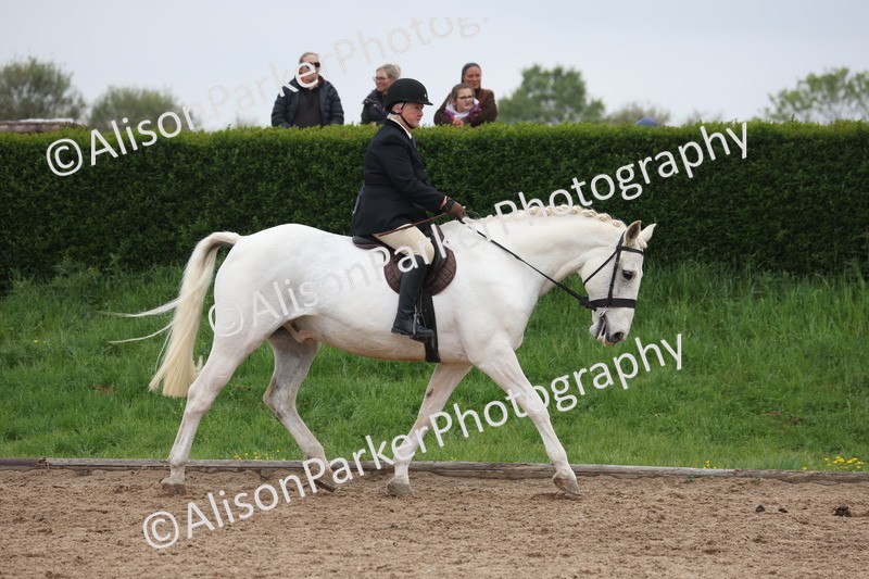 20260504-1086 - Class 14 - Cob and Hunter