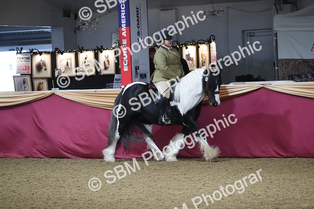 SBM_10344 - Class 102 Equitation (best rider) Adult