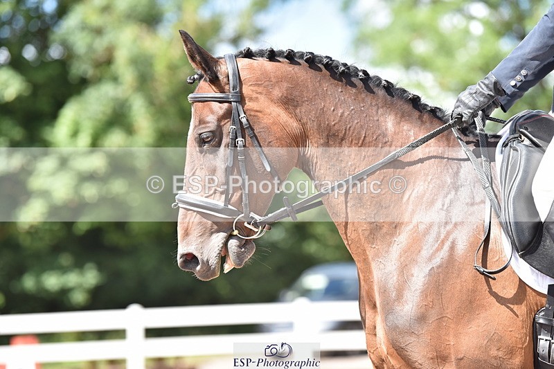 240706A-153434-03941 - Cls 4D Snr Elementary