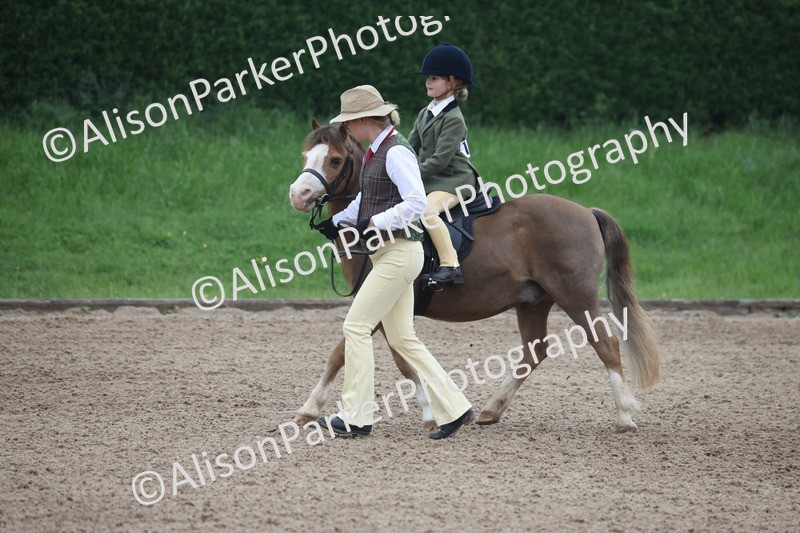 20260504-0101 - Class 9 - Lead Rein Pony