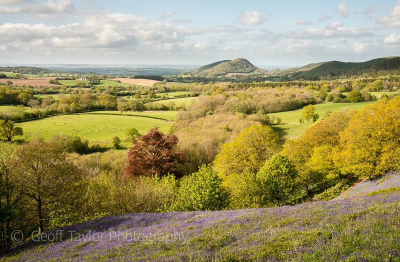 Earls Hill from Paulith Bank - Stiperstones