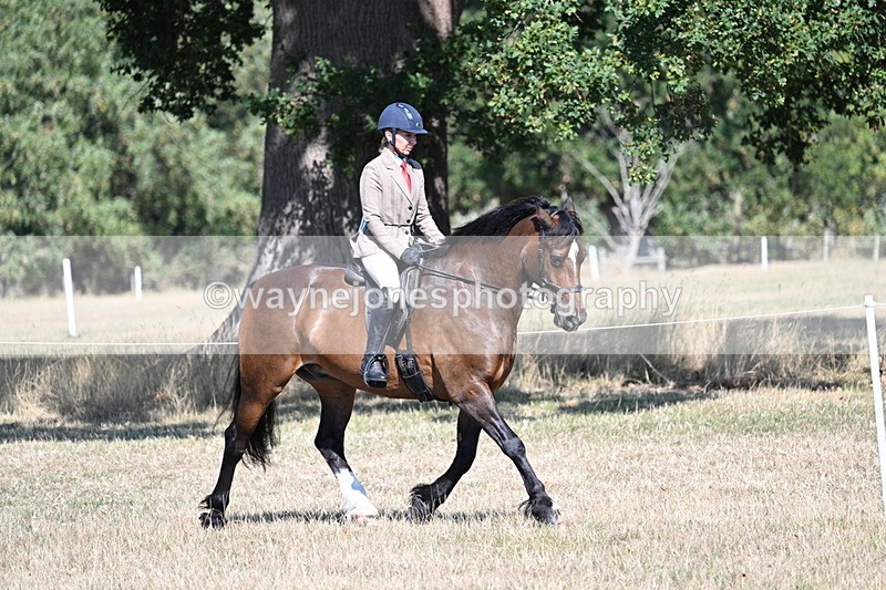 WJ7_3881 - Class 9 Mountain & Moorland Ridden