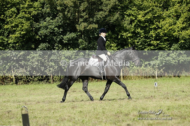 BVRC 120921 260 - Bourne Valley Riding Club UA Dressage & Show Jumping 12/09/21