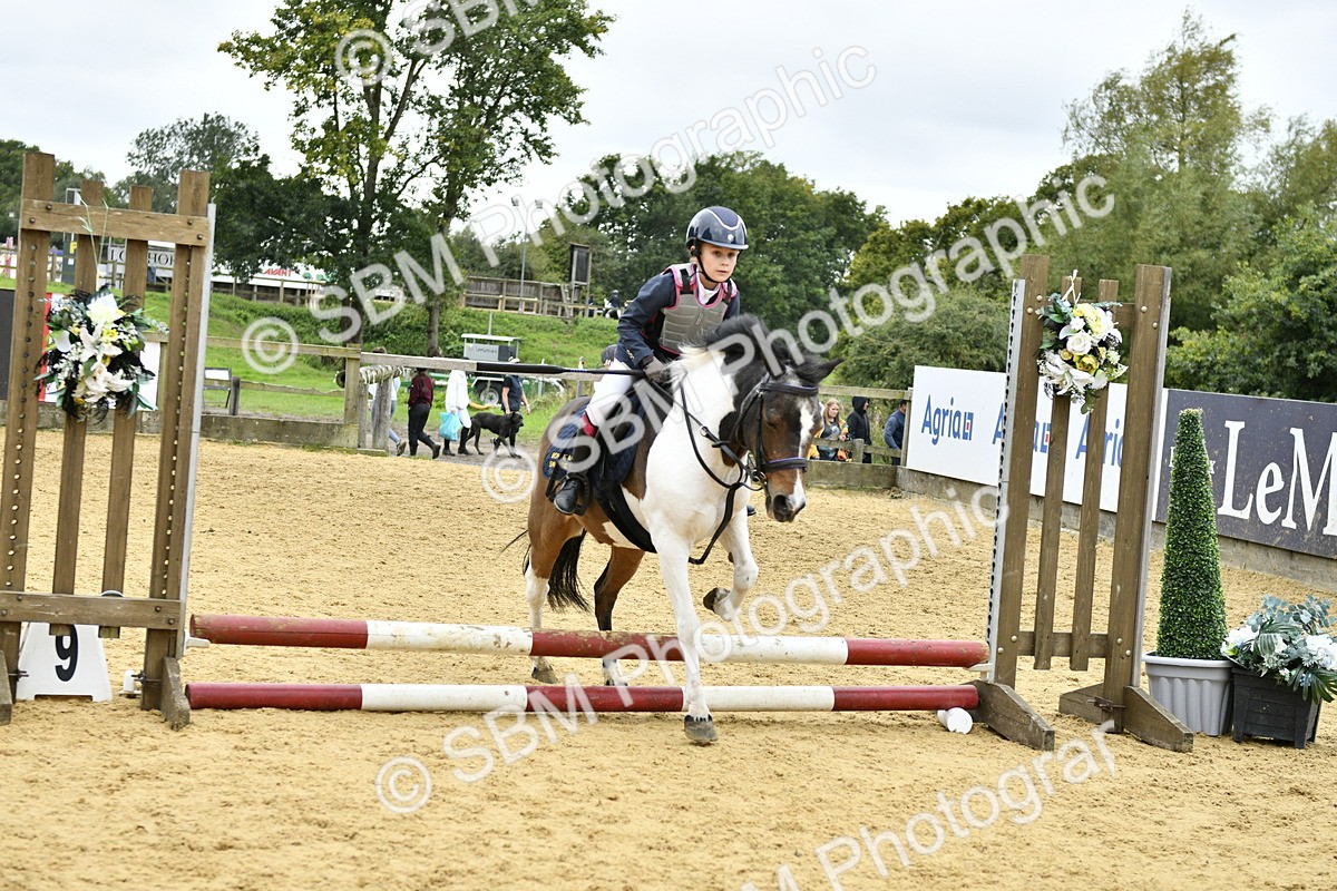 SBM_68057 - J2b - Mini Tour Junior Pony 30cm championship
