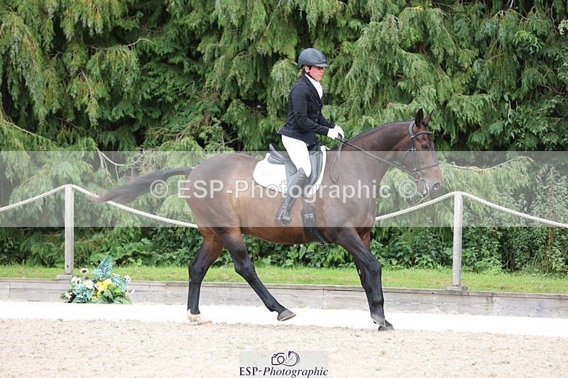 230812-153628-05167 - Cls 5 Novice Bronze 15.00 to End