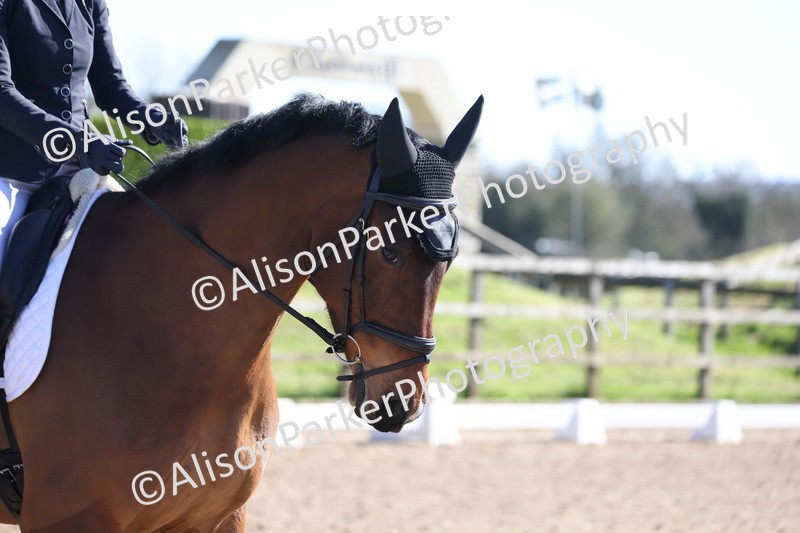 20260318-0458 - Class 5 - Novice 2