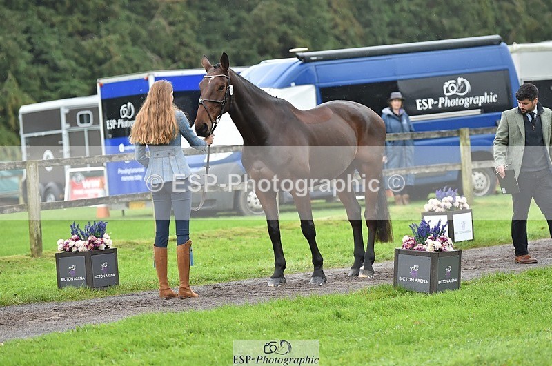 231018-124036-00441 - 052-SHANNONDALE.COURAGE-Georgina.Beeby.Wynn-TrotUp