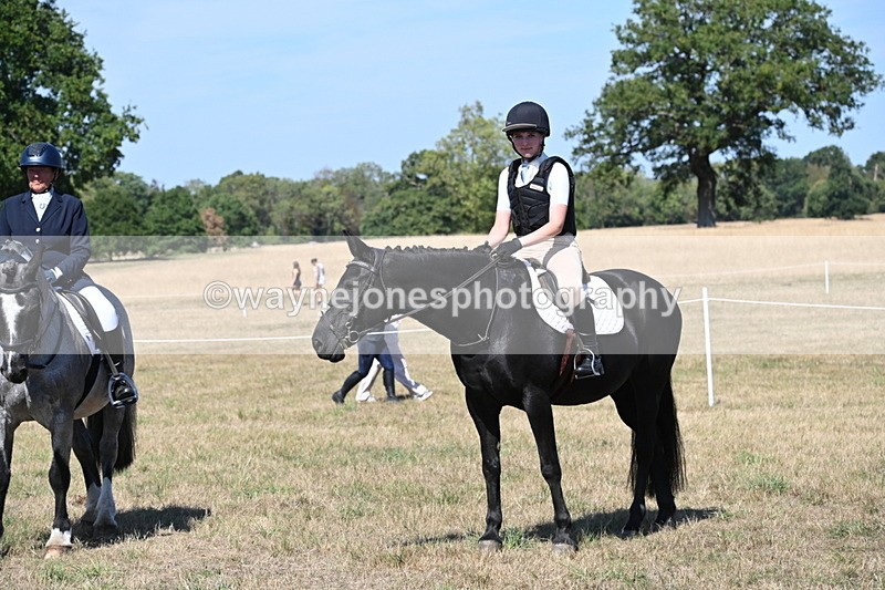 WJ6_9017 - Class 38 Ridden Riding Horse/Pony