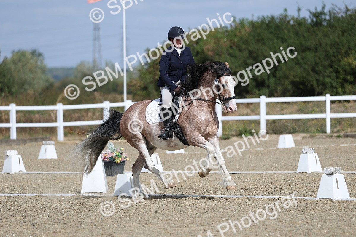 SBM_020934 - Class 21 - M5 Bronze 10.58.12.10