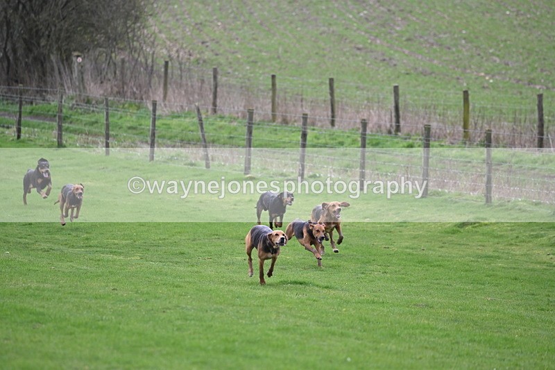 WJ6_8968 - Line Three