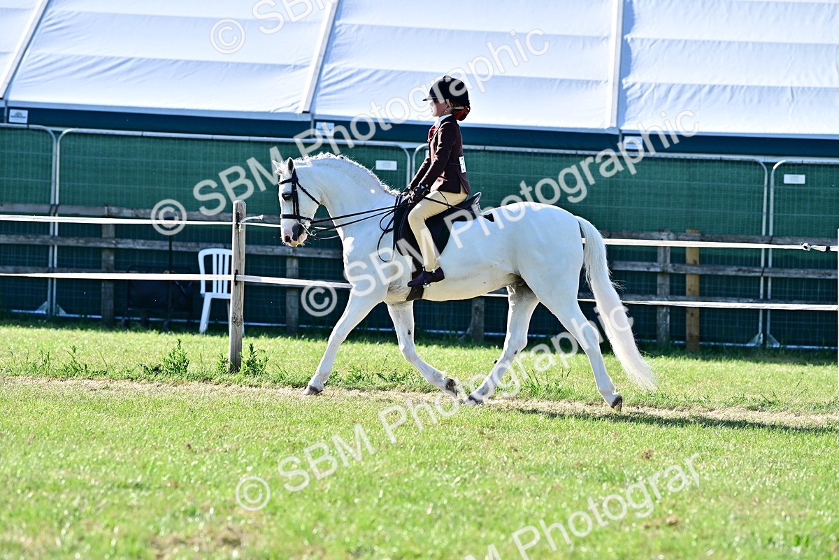 SBM_19882 - Class 103 - 105 - TSR Ridden Amateur of the Year Plaited Ponies