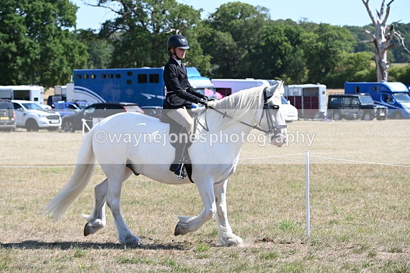 WJ6_8259 - Class 37a Best Loan Pony Ridden