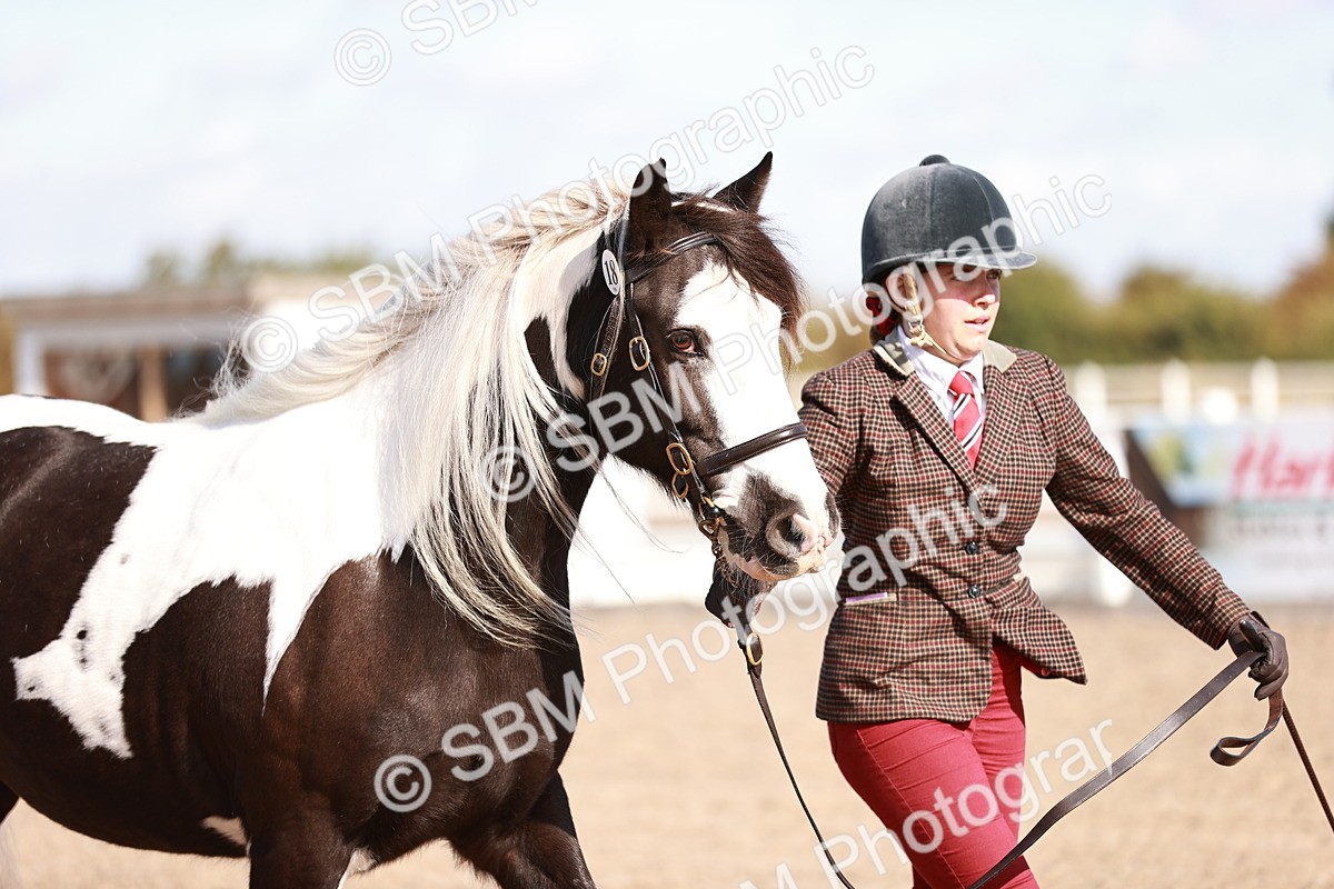 SBM_12594 - Class 404 - IH Traditional - Native Cob