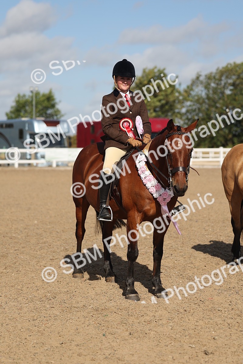SBM_22634 - Class 804 - Ridden Veteran Pony