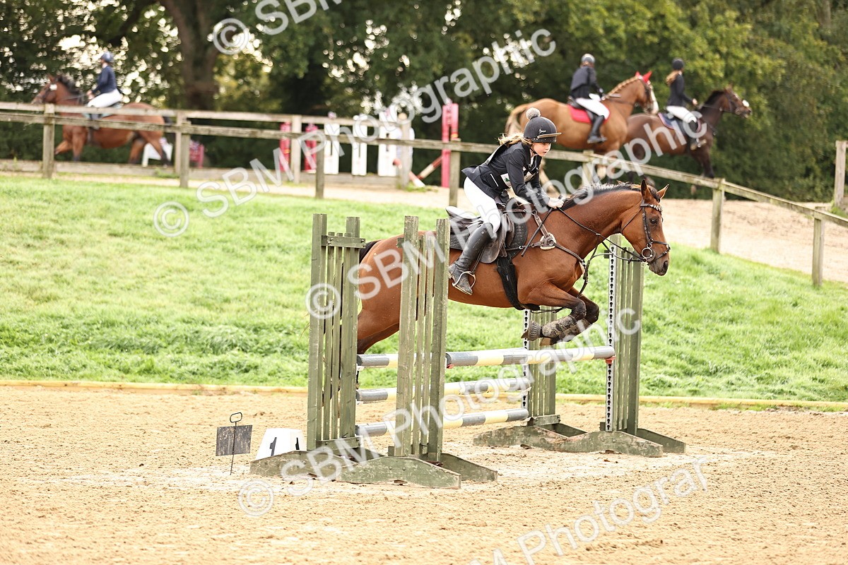 SBM_58381 - J41 - Grand Tour Horse & Pony 95cm