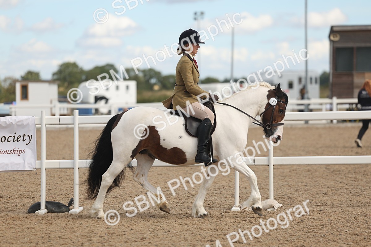 SBM_14634 - Class 307 - Ridden Coloured Pony