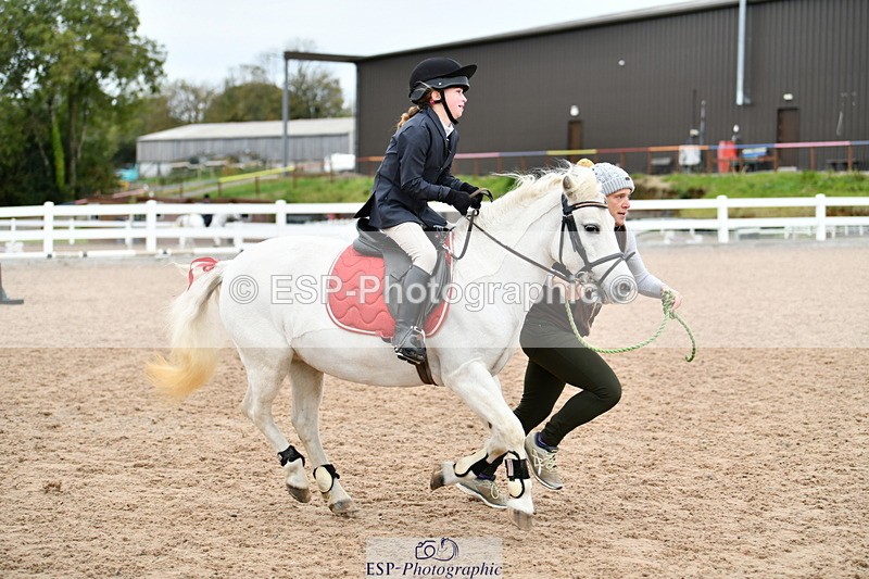 241013B-104436-00446 - Cls 2c 40cm Lead Rein