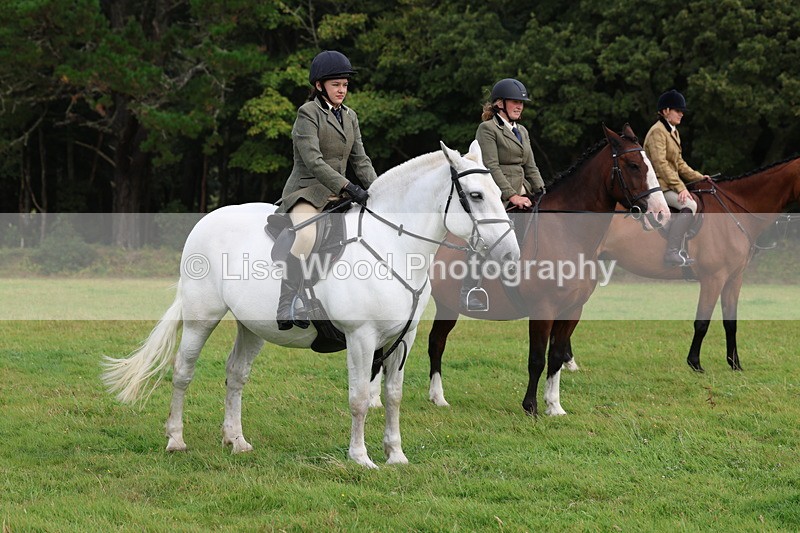 3E7A5907 - Class 26 and 27: 70cm Working Hunter