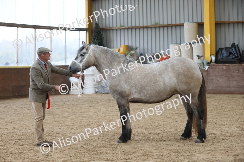 20251109-0969 - Class 26 - 2 and 4 Year Olds