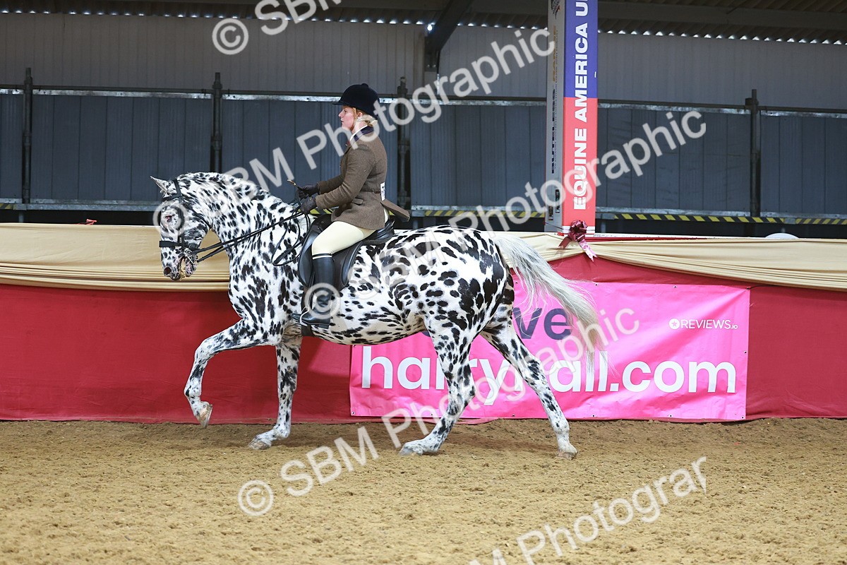 SBM_12488 - Class 103 - HOYS Veteran Qualifier - Ridden Pre Vet