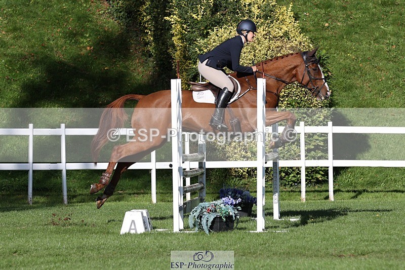 231022-110124-24899 - 663-GROOVY.GUY-Hannah.Watson-TrotUp+SJ