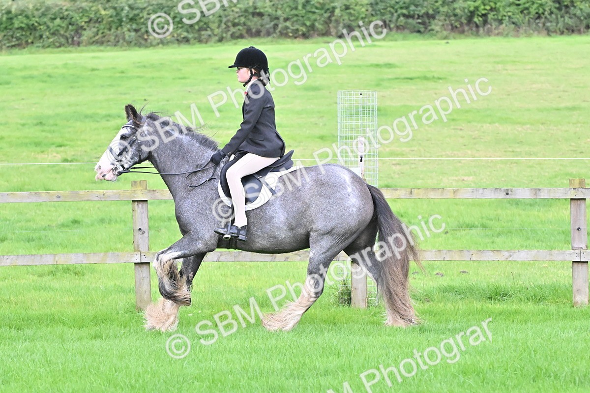 SBM_42900 - S12 - Family Horse & Pony