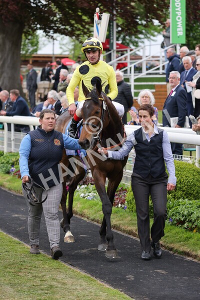 yr13052022r2-33 - Race 2 2.25pm Oaks Farm Stables Fillies' Stakes (registered as the Michael Seely Memorial Stakes)