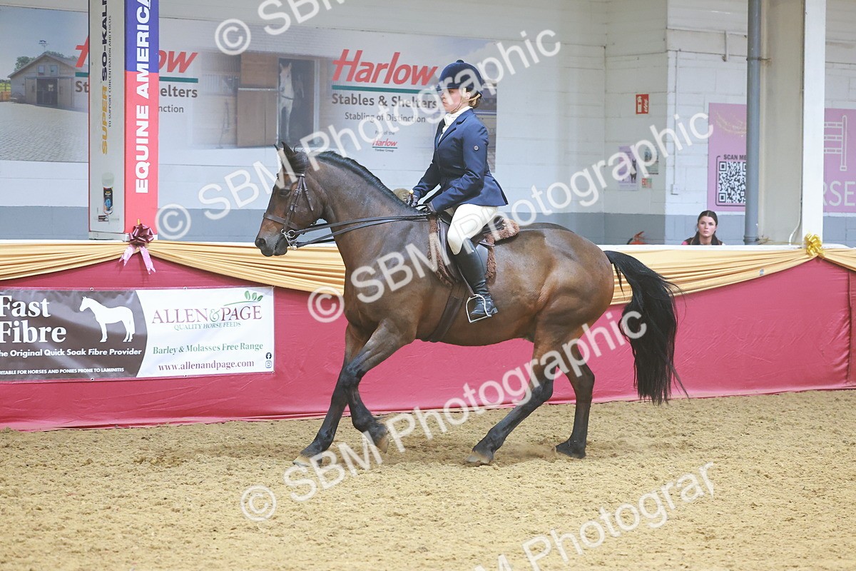 SBM_17750 - Class 952 - M&M Ridden Supreme Final