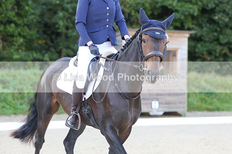 3E7A1797 - Class 1: Intro 4 2024 section A