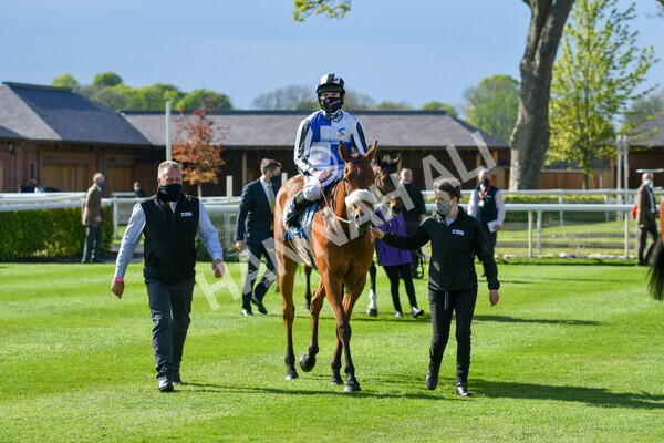 yr13052021r7-39 - Race 7 4.50pm Autohorn Stakes