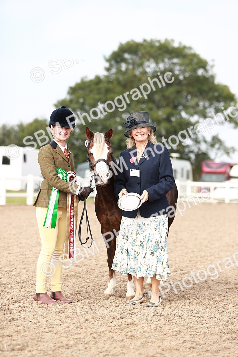 SBM_10615 - Class 204 Young Handler, 11-16 years