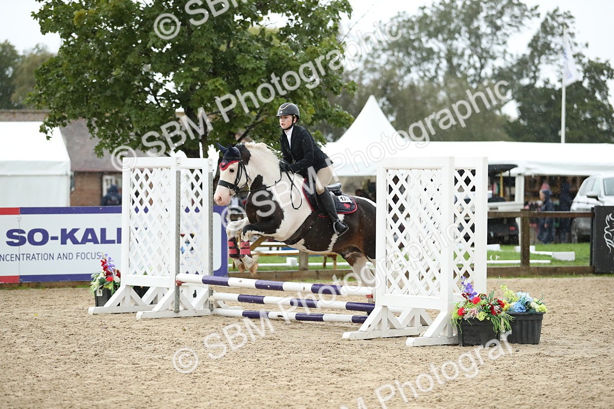 SBM_34353 - J60 Clear Round 50cm