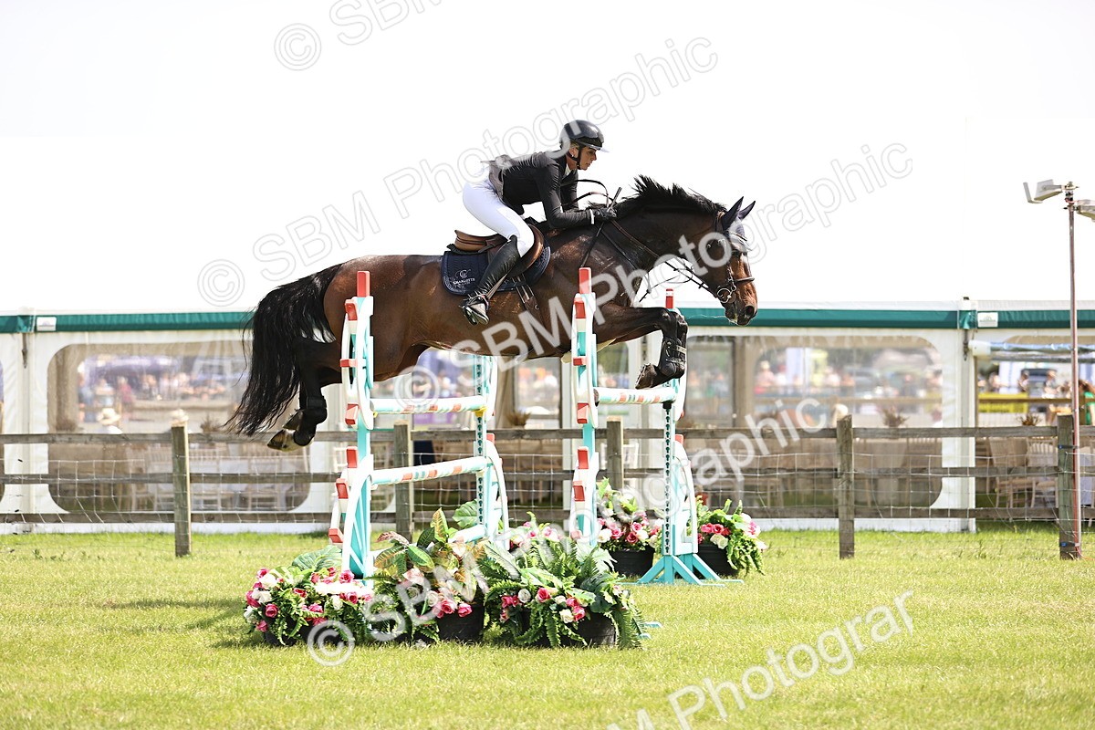 SBM_03225 - Class 201 - British Horse Feedds Speedi Beet HOYS Grade C