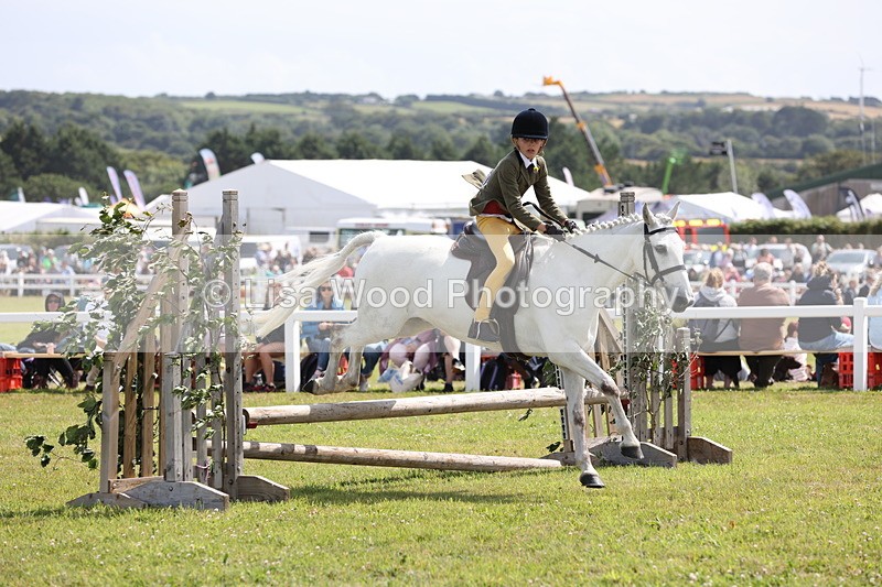 JPP_2113 - Class 19: Working Hunter 60cm