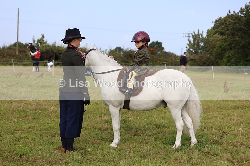 3E7A3601 - Class 2: Lead rein