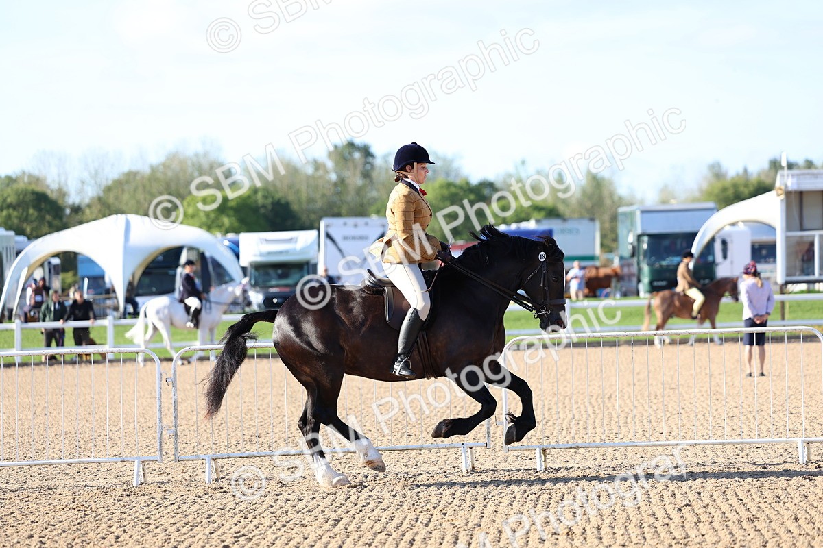 SBM_08768 - Class 302 - Ridden M&M - Large Breeds
