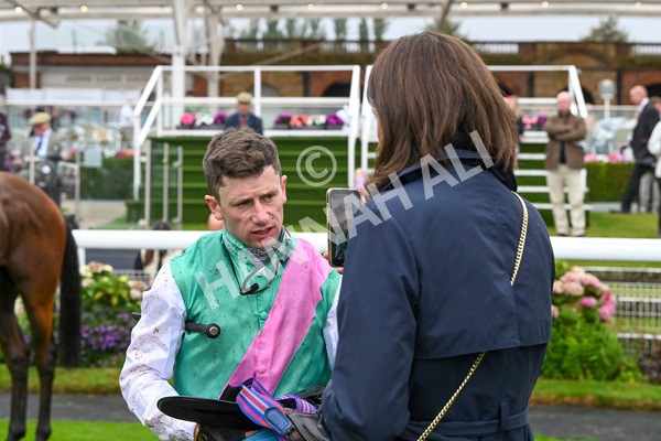 080924-Race 1-Windlord-8889 - Race 1 1.40pm British European Breeders Fund Novice Stakes