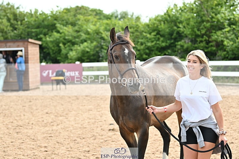 240717A-163903-03476 - Trot Up 4pm to 5pm