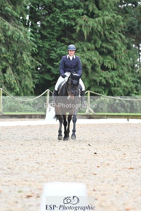 231019-130523-03276 - 121-KNOCKADERRY.MISTY.BAT-Harriet.Dickin-DR