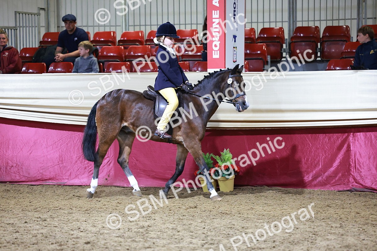 SBM_20555 - Class H - IH Competition - Riding Club champ
