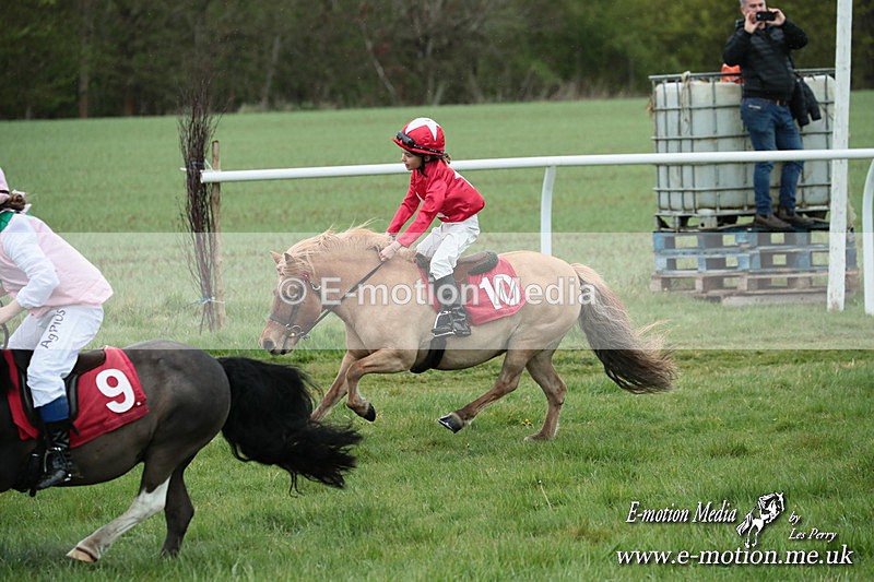 SHETPR 210425 214 - Shetland Ponies Paxford Races 21/04/25