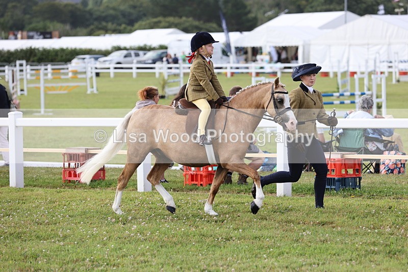 JPP_0204 - Class 14: Cornish Combination Leading Rein
