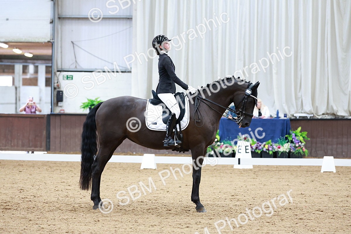 SBM_017769 - Class 15 - FEI Junior